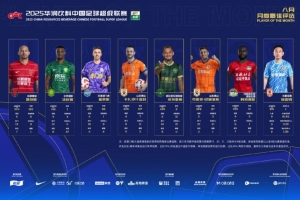 中超8月最佳候選：瓦科、米特里策、費利佩在列，吳亞軻入圍