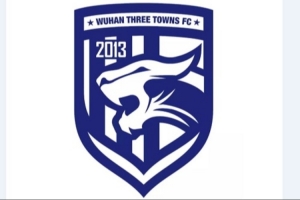 武漢足管中心主任：武漢三鎮(zhèn)正推進股改事宜，已做好凈資調查工作