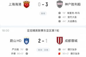 白國(guó)華批中超前三亞冠全?。喝狈Χ嗑€作戰(zhàn)的意志力和管理水平