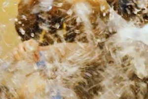 成功拿下總冠軍后，大家在更衣室用一場特別的狂歡慶祝榮耀時刻！