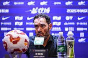 亞泰最后4輪賽程：客戰(zhàn)河南、津門虎、西海岸，主場對陣國安