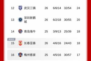 地獄難度！積分榜：新鵬城僅領(lǐng)先降級(jí)區(qū)2分，將戰(zhàn)國(guó)安+申花+蓉城