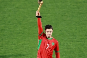 世青賽獎項(xiàng)：瑪瑪金球、扎比里銀球、德爾加多銅球，巴比金手套