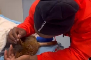 巴舒亞伊深情告別因車禍離世的愛貓：安息吧，我的兒子