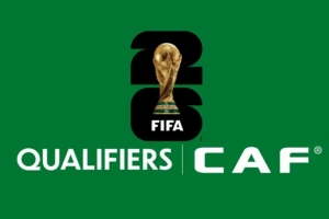 世預(yù)賽非洲區(qū)附加賽：尼日利亞對(duì)加蓬，喀麥隆對(duì)民主剛果