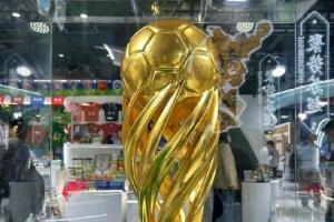 “蘇超”冠軍獎杯出現(xiàn)在進博會，成為吸引觀眾拍照打卡的亮點