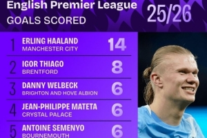 本賽季英超進(jìn)球榜：哈蘭德14球居首，維爾貝克、姆伯莫在列