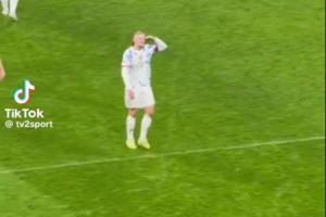 哈式敬禮??哈蘭德慶祝時(shí)披頭散發(fā)沖看臺(tái)敬禮+惡狠狠點(diǎn)頭