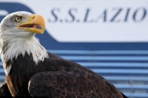 米體：拉齊奧將重啟主場放飛雄鷹儀式，將由新任馴鷹師負(fù)責(zé)訓(xùn)練