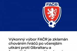 捷克足協(xié)向球迷致歉：紹切克將不再任隊(duì)長，球員們也不會獲得獎金