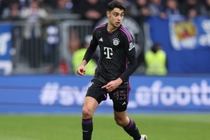 埃貝爾：帕夫洛維奇似乎是肌肉拉傷，希望他問題不大但我沒法診斷