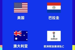 ESPN談世界杯D組：土耳其最可能獲得剩余名額，居萊爾PK普利西奇