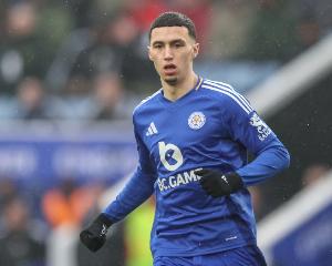 瑞天空：紐卡和水晶宮競爭埃爾哈努斯，但他冬窗不會離開斯圖加特