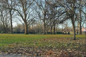 此為何意？薩拉赫更新社媒，曬落葉景色圖