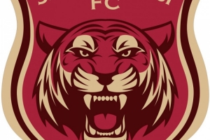 記者談上海嘉定匯龍搬去寧波：中甲運營成本太高，在中乙還能堅持