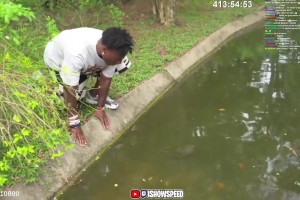 抽象！甲亢哥對著水溝里的烏龜竟然大喊“姆巴佩！”