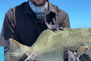 休賽期垂釣高手??西蒙斯社媒曬海釣收獲！直言這回運氣爆棚~