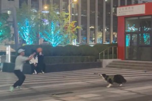 這球太強(qiáng)硬了！陸子皓禁區(qū)內(nèi)完成個(gè)人表演，助蘇州隊(duì)扳平比分！