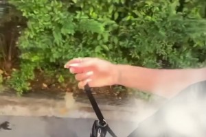 卡里烏斯老婆一身清涼裝在街邊遛狗，這小博美好可愛呀??