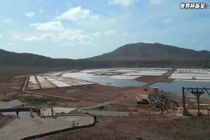 沒淡水，資源為零！本土僅有50萬人口的佛得角進(jìn)世界杯有多勵(lì)志？