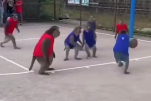 起猛了，竟然看到一群猴哥打籃球！現(xiàn)在AI這么逼真了嘛??