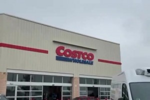 德佩在自家院子養(yǎng)了五條大型犬??！這看著像杜賓犬！