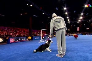 還有這種才藝？馬克西受邀參加訓(xùn)狗競(jìng)賽！小狗好像不太配合啊??