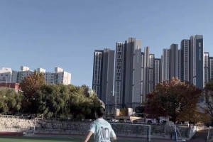 我也就看了幾十遍，這停球是怎么做到的????