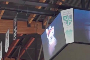 吉尼斯世界紀錄最遠的籃球反彈投籃距離為 30.01 米！